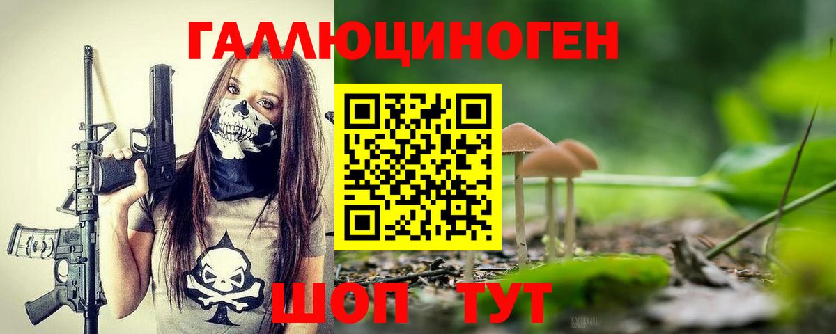 как найти наркотики  Галлюциногенные грибы Magic Shrooms  Вход с VPN  Якутск 